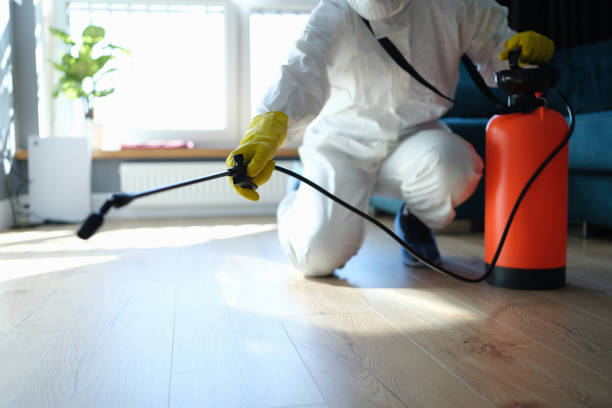 Reliable Odor Removal contractor in Pleasant Hill, MO by Trauma Clean Pros